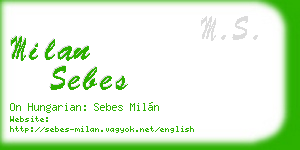 milan sebes business card